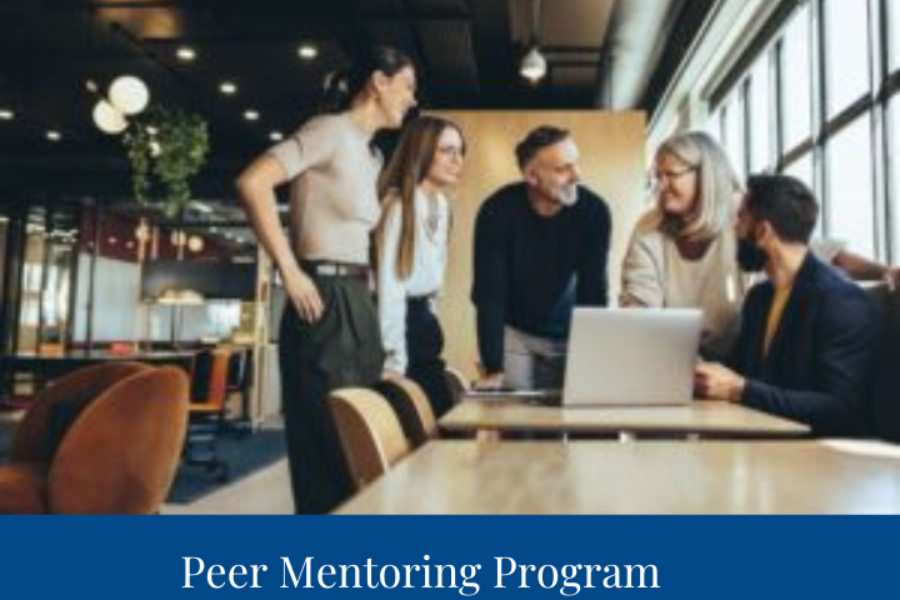 Peer Mentoring Program